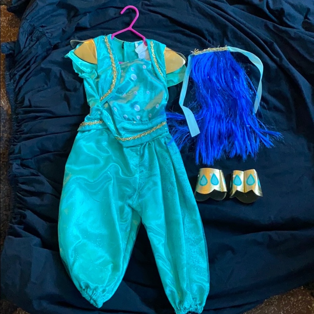 Shimmer and shine costume